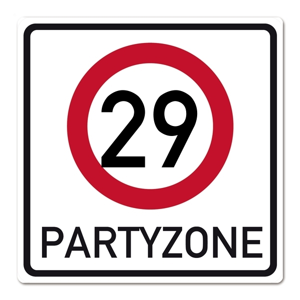 PartyZone29